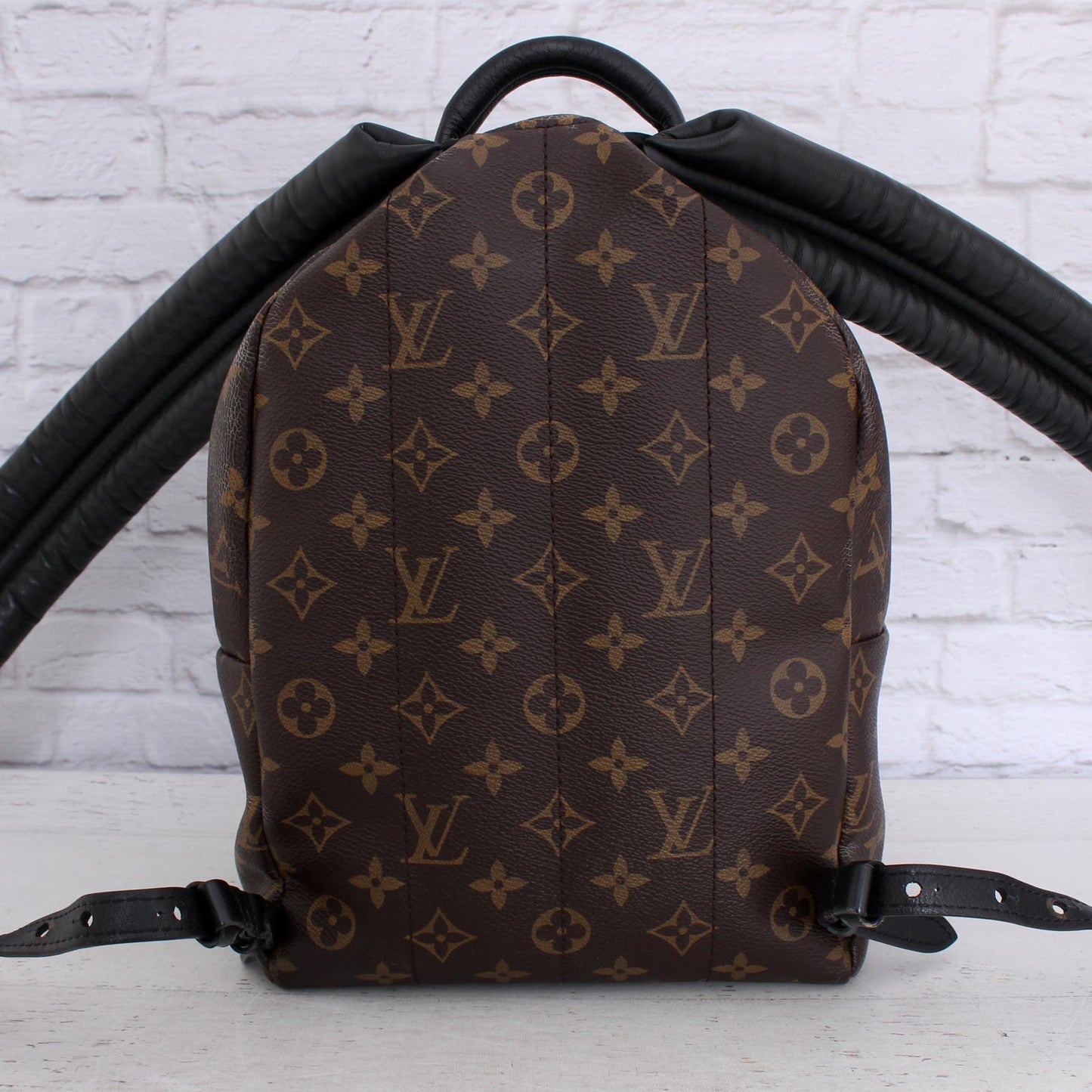 Louis Vuitton Palm Springs PM Monogram Backpack