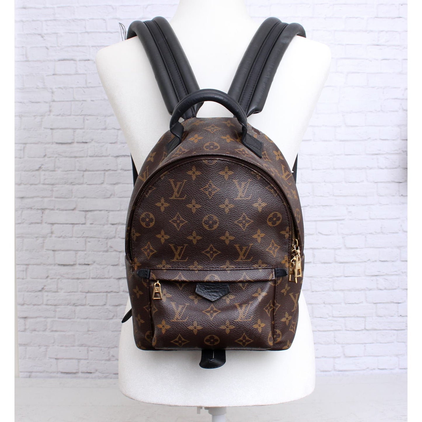 Louis Vuitton Palm Springs PM Monogram Backpack