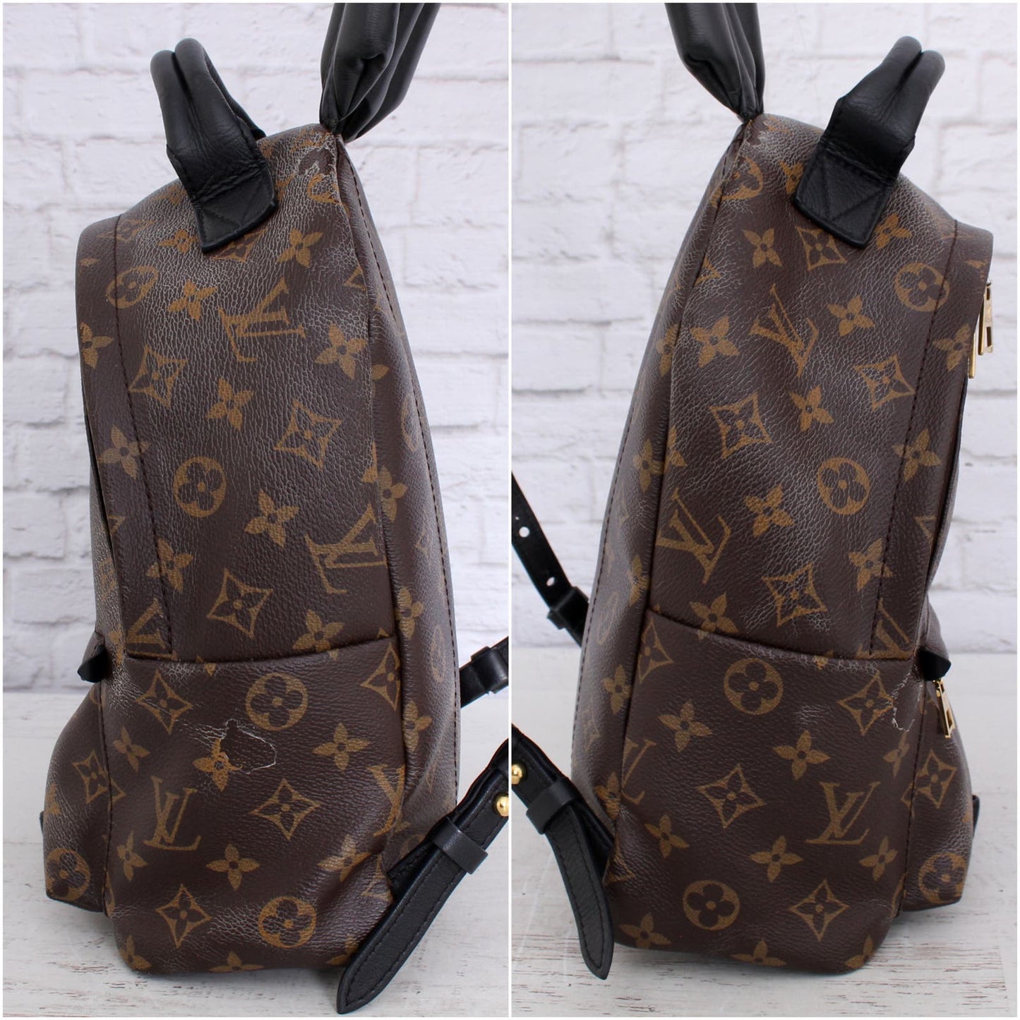 Louis Vuitton Palm Springs PM Monogram Backpack