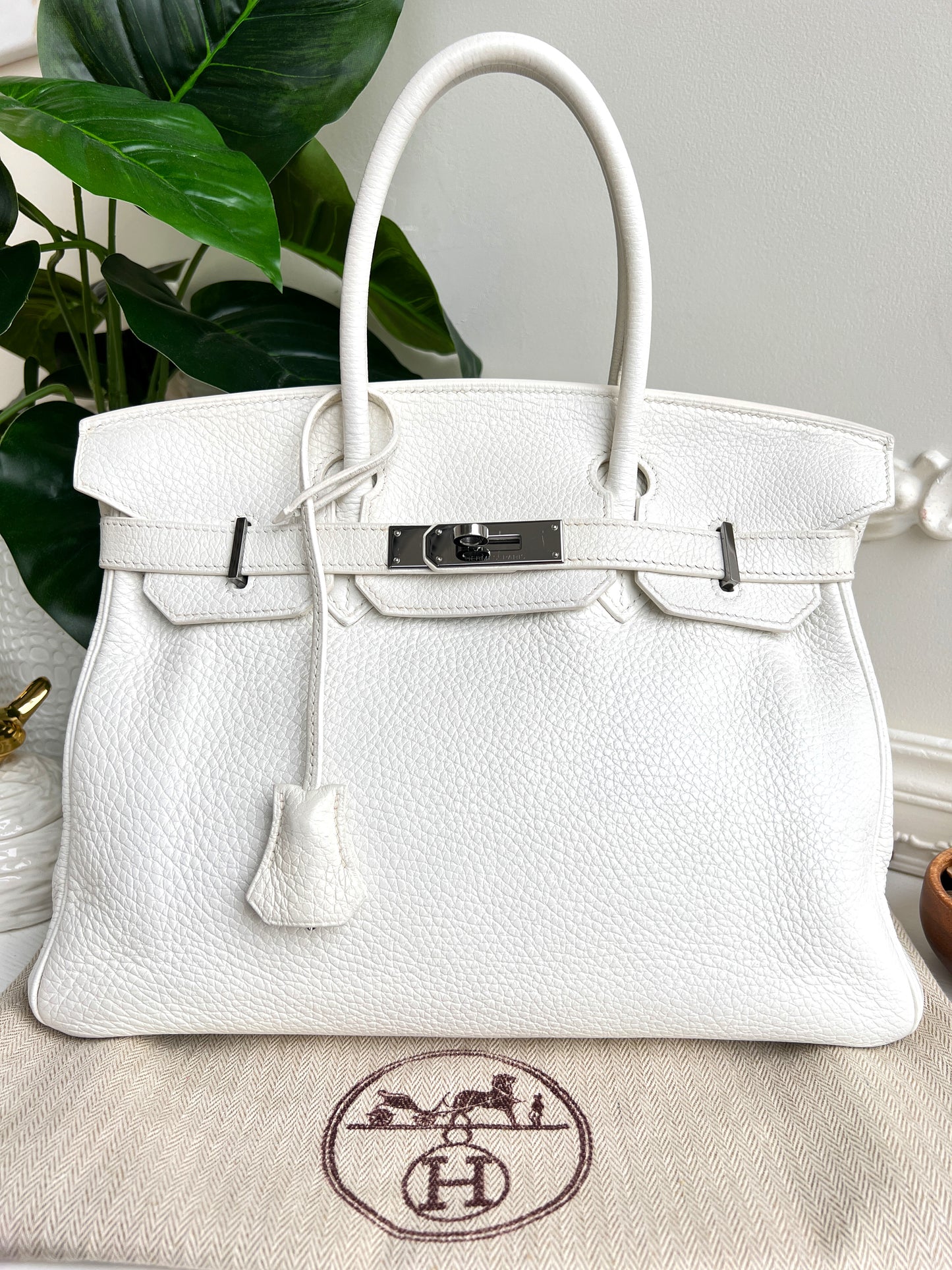 Hermès White Birkin 30 Bag