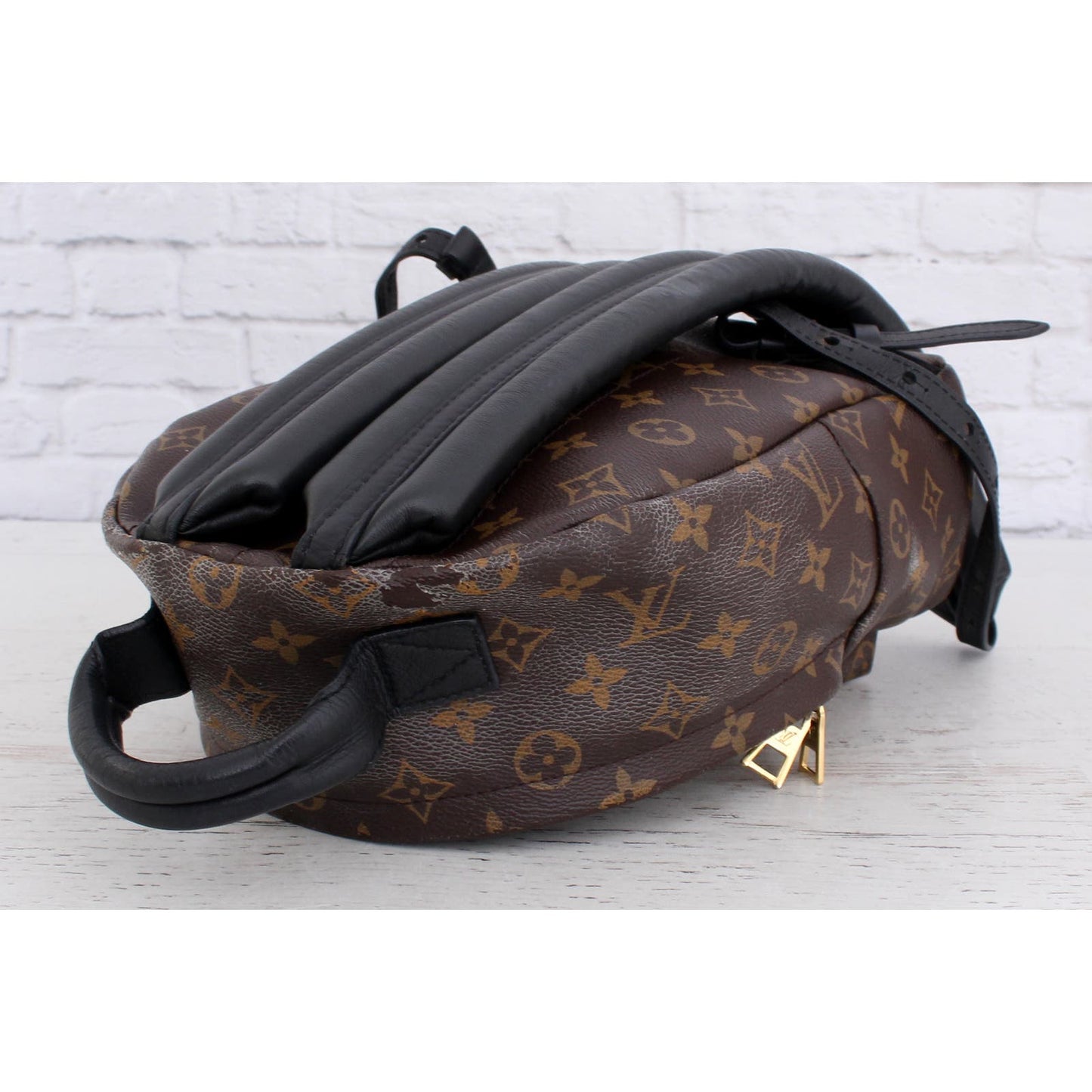 Louis Vuitton Palm Springs PM Monogram Backpack