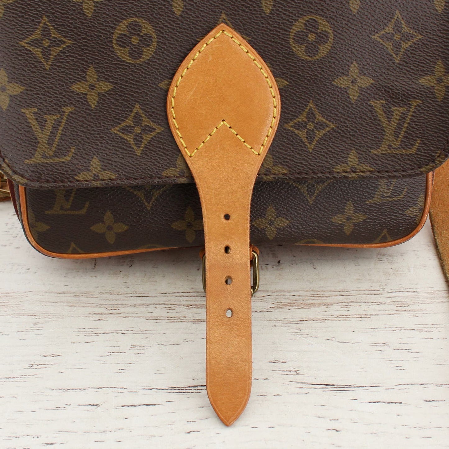 Louis Vuitton Cartouchiere MM Monogram Crossbody