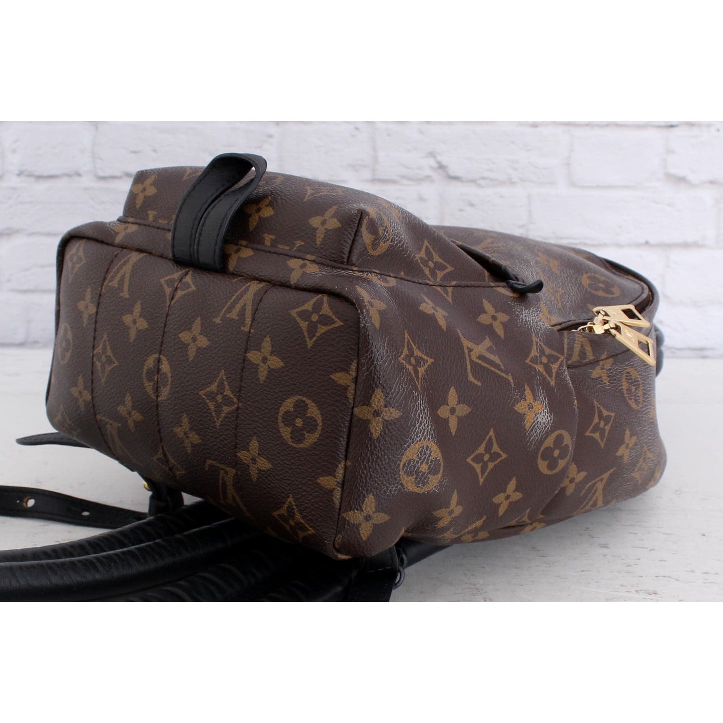 Louis Vuitton Palm Springs PM Monogram Backpack