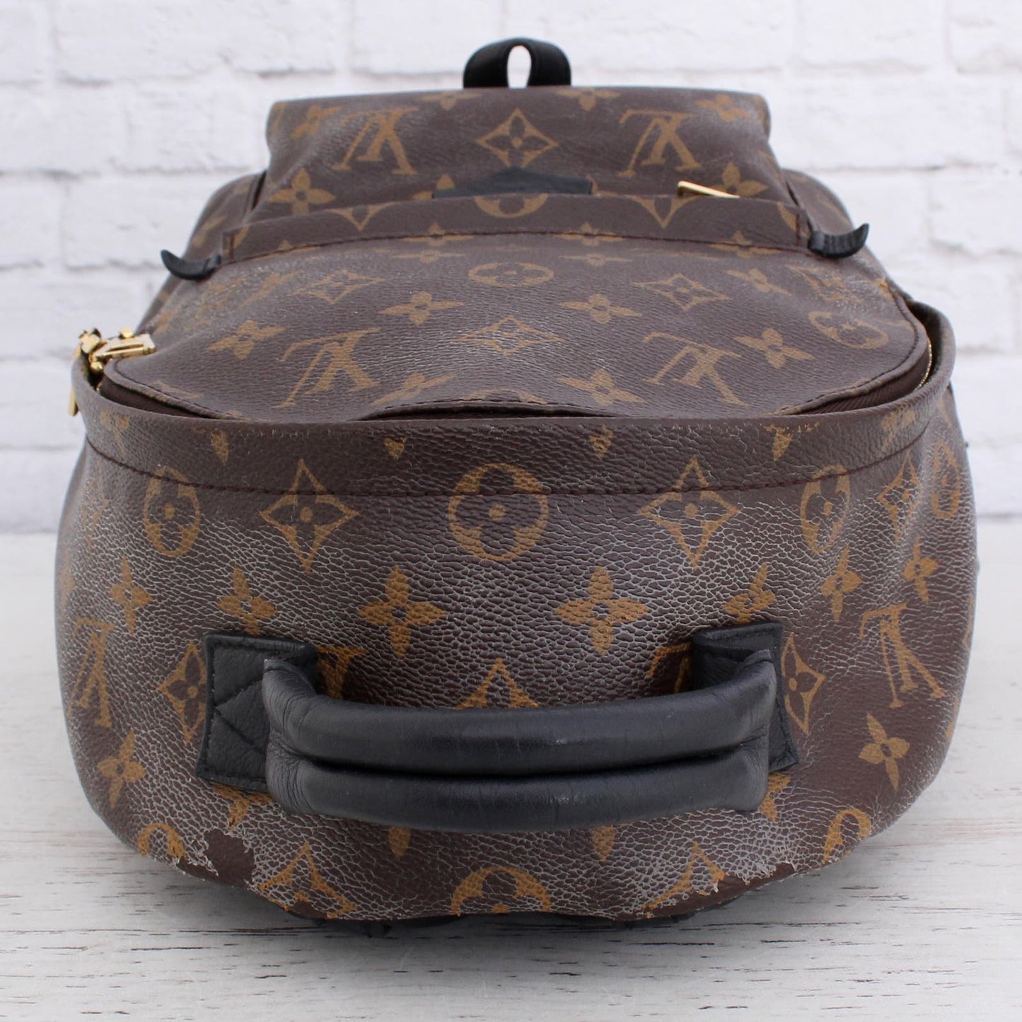 Louis Vuitton Palm Springs PM Monogram Backpack