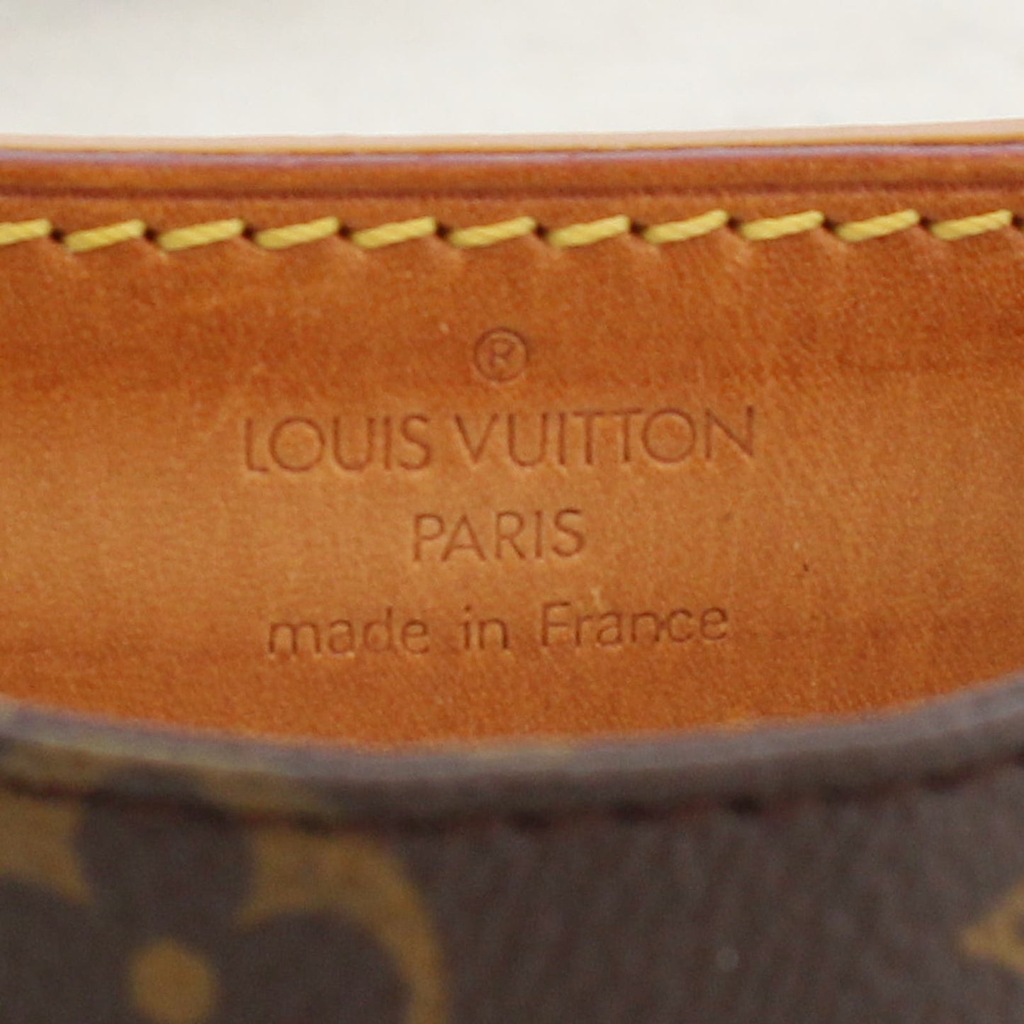 Louis Vuitton Danube Monogram Crossbody