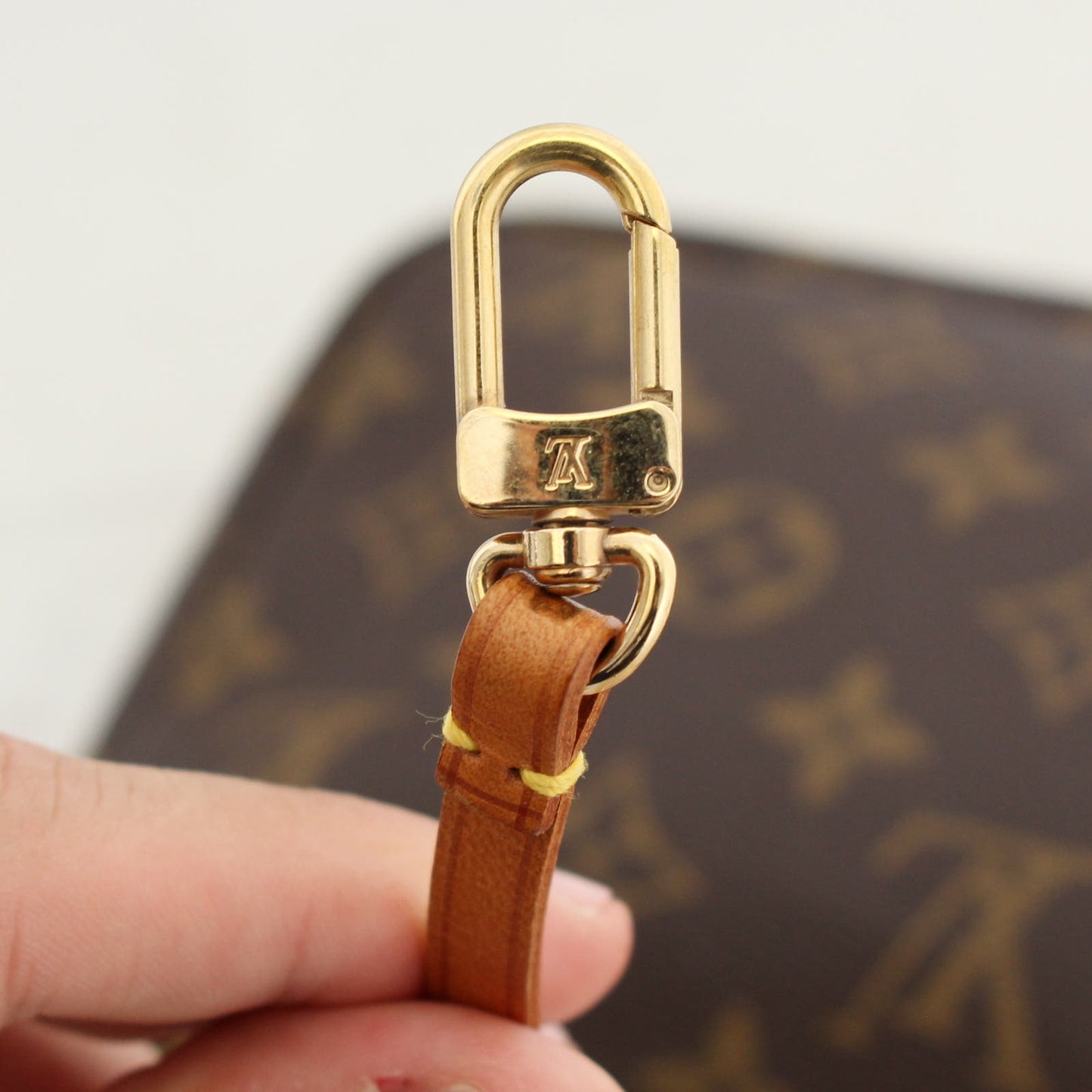 Louis Vuitton Pochette Accessoires Monogram Shoulder Bag & Clutch Zip