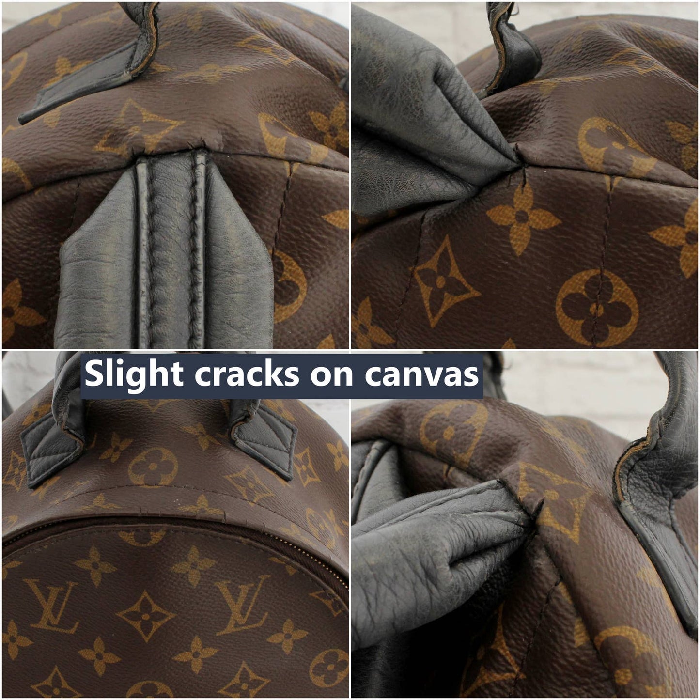 Louis Vuitton Palm Springs PM Backpack Monogram