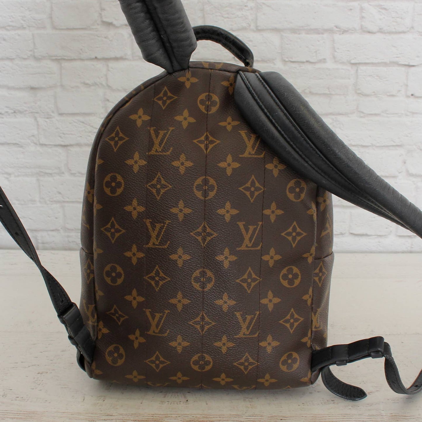 Louis Vuitton Palm Springs PM Backpack Monogram