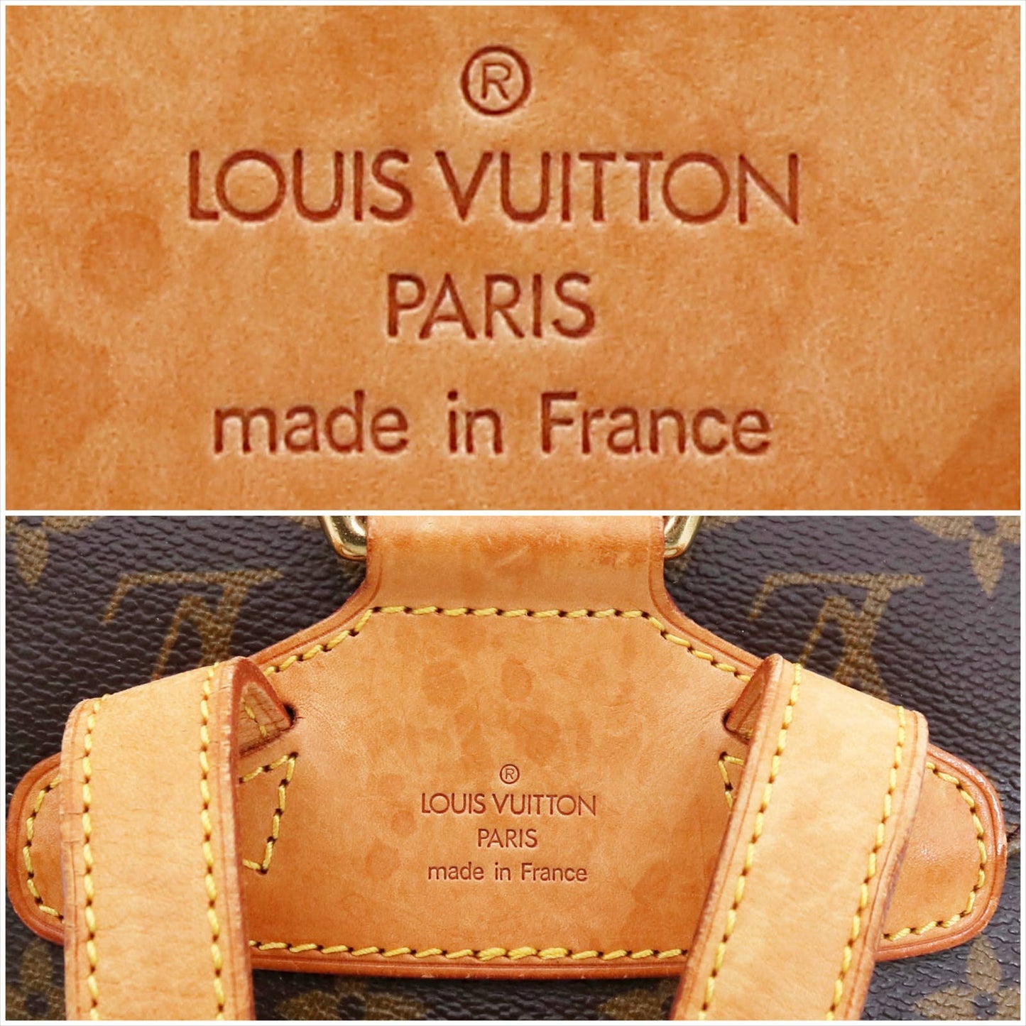 Louis Vuitton Montsouris MM Monogram Backpack