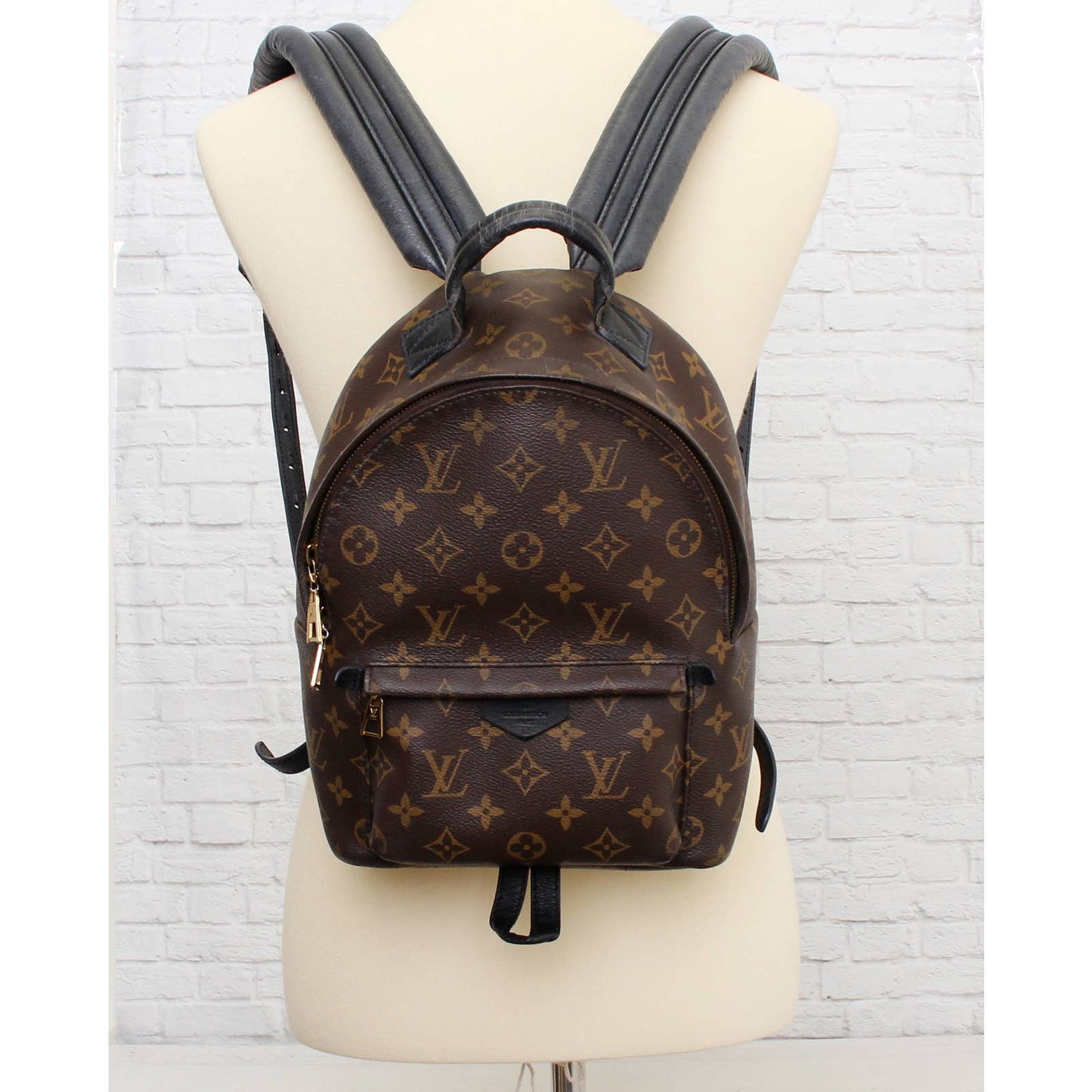 Louis Vuitton Palm Springs PM Backpack Monogram