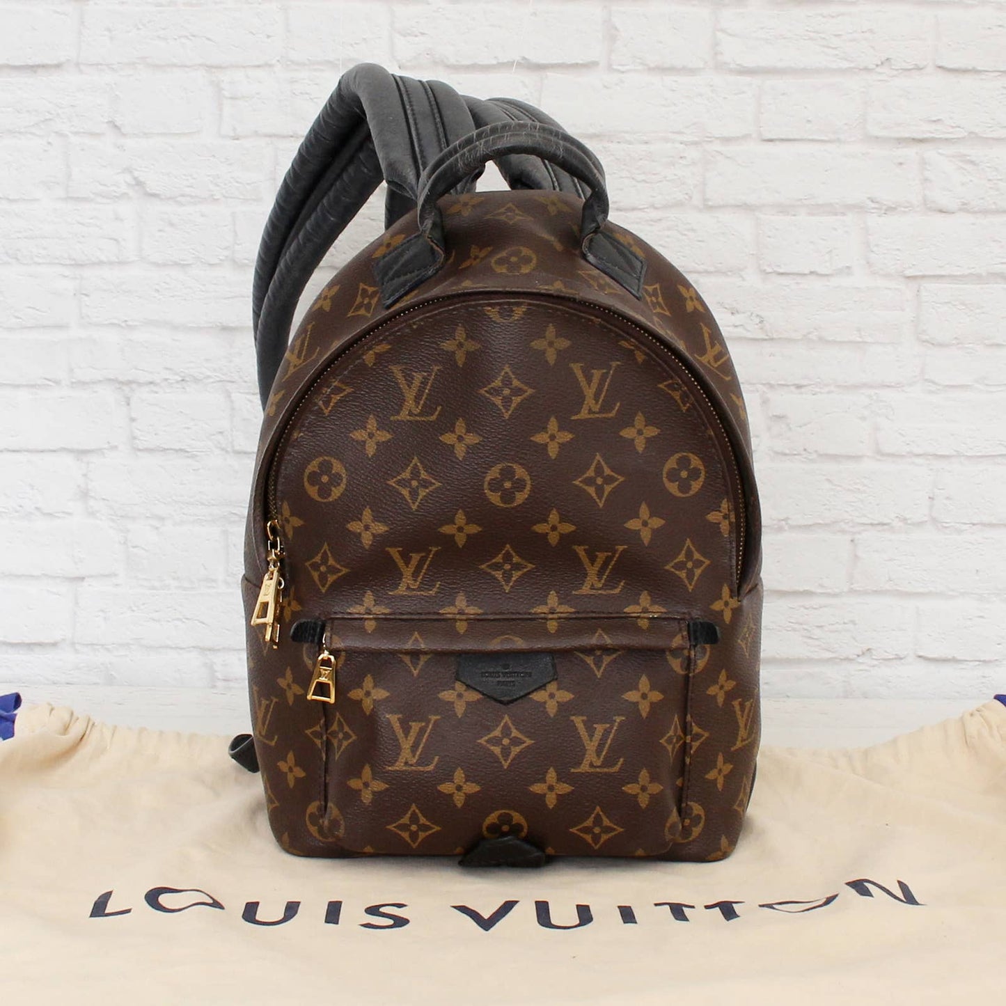 Louis Vuitton Palm Springs PM Backpack Monogram